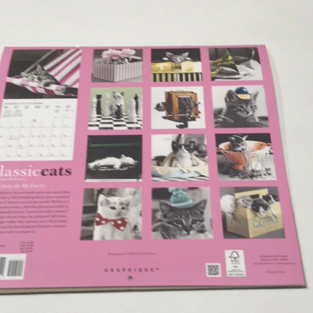 ☀️☀️New Classic Cats 2021 Calendar